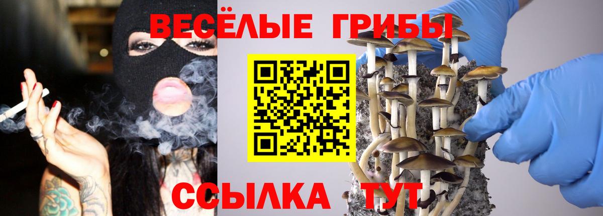 Псилоцибиновые грибы Magic Shrooms Беслан